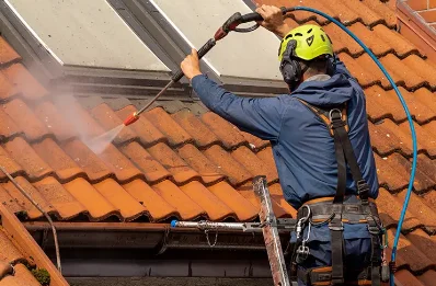 Démoussage et hydrofuge de toiture à Saint-Georges-la-Pouge
